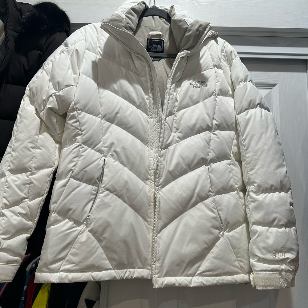 The north face